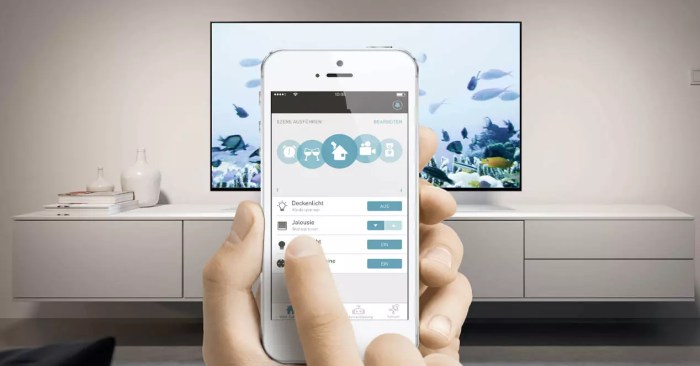 Smart home system remote access and control from anywhere