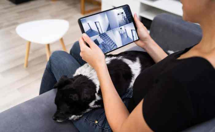 Smart home system for pet owners and pet safety